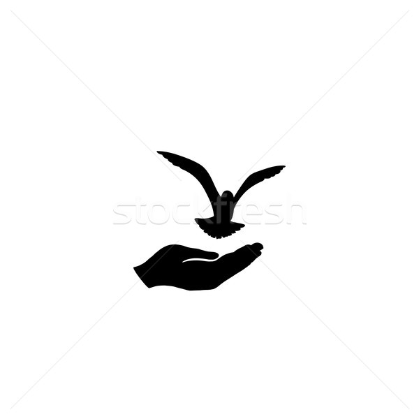 Dove bird free with hand. Pigeon flying. Peace symbol. Freedom Stock photo © Terriana