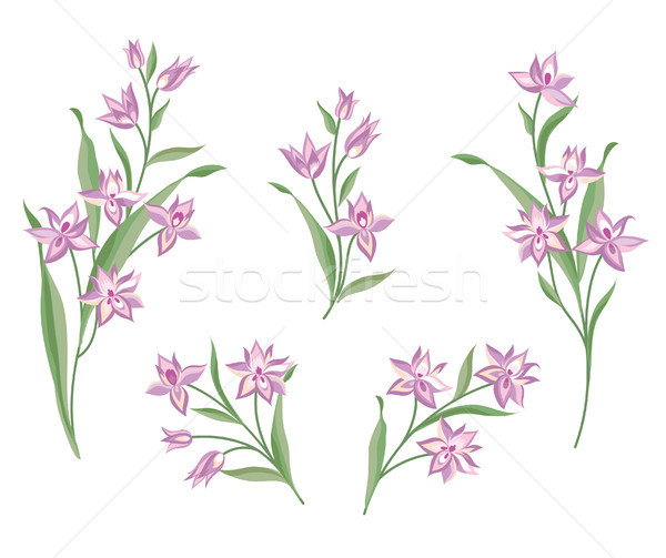 Flower set. Floral bouquet summer decorative collection for gree Stock photo © Terriana