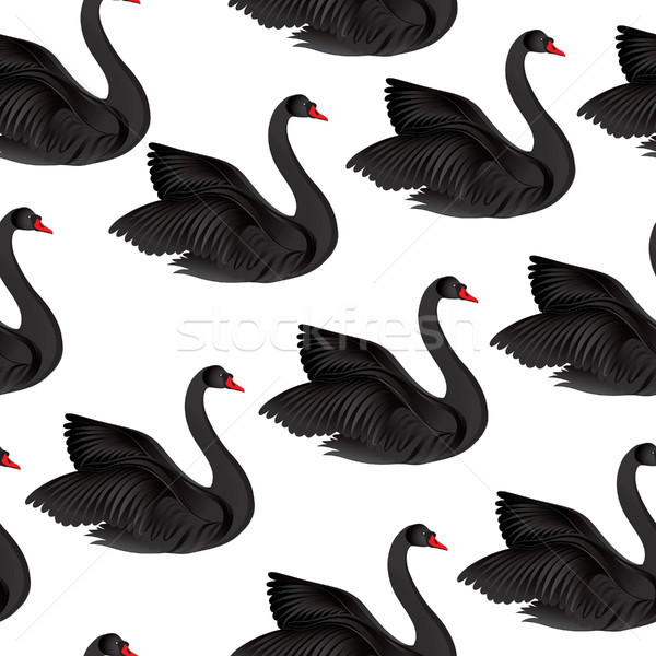 Black bird isolated over white background. Swans silhouette seam Stock photo © Terriana