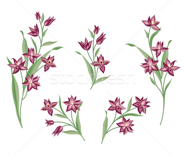 Flower set. Floral bouquet summer decorative collection for gree Stock photo © Terriana