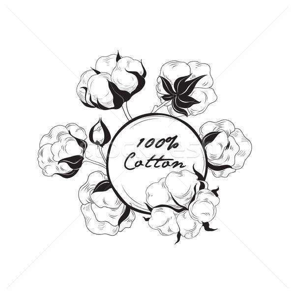 Cotton icon. Natural material sign with flower cotton. Floral frame Stock photo © Terriana