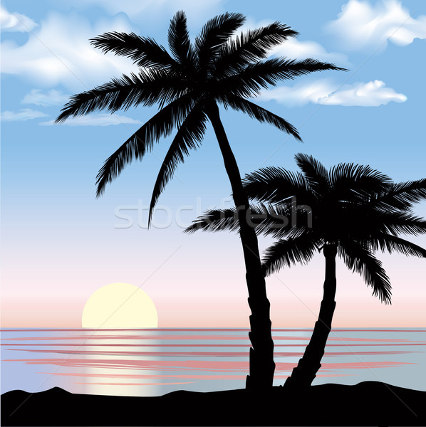 Summer Holidays Background Seaside View Poster Vector Beach Resort Vector Beach Resort Wallpaper Add To Lightbox Comp