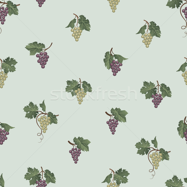 Trauben Wein natürlichen Obst Ornament Stock foto © Terriana