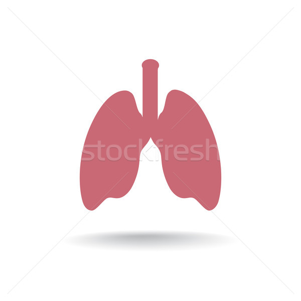 Tüdő anatómia ikon orvosi emberi orgona Stock fotó © Terriana