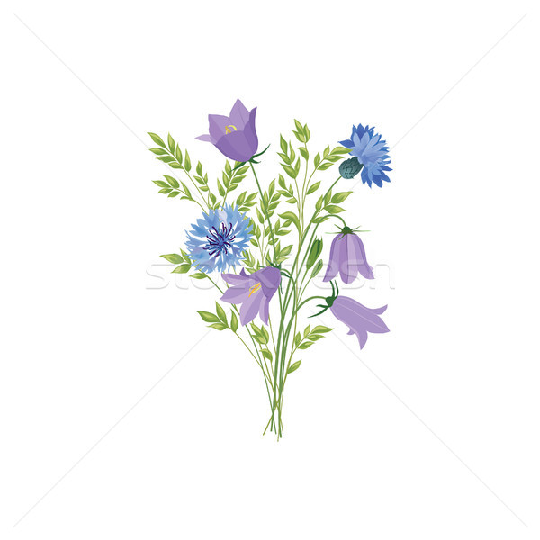 Stock photo: Flowers isolated. Floral summer bouquet. Meadow nature decor wit