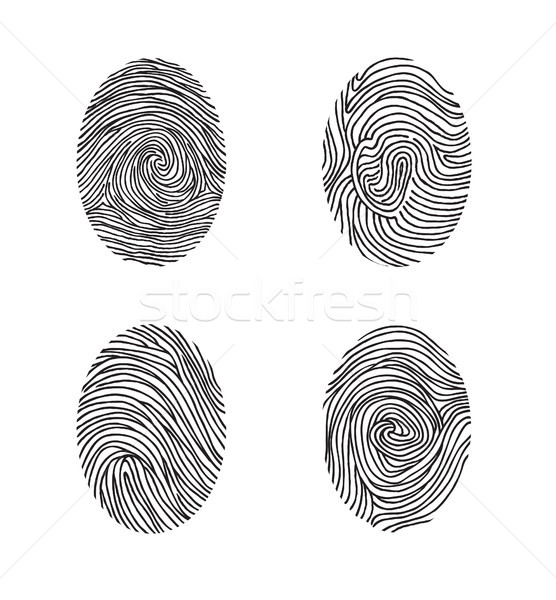 Fingerprint set. Abstract lswirl line decor elements with finger Stock photo © Terriana