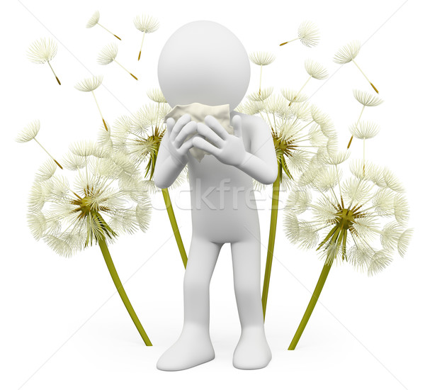 3D biali ludzie wiosną Dandelion odizolowany Zdjęcia stock © texelart