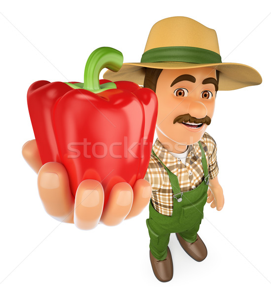 3D Farmer with a red pepper from his harvest Stock photo © texelart