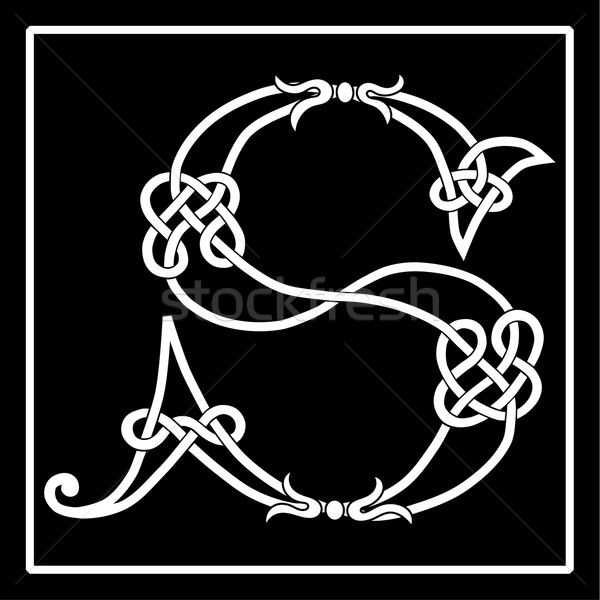 Celtic Knot-Work S Stock photo © Theohrm
