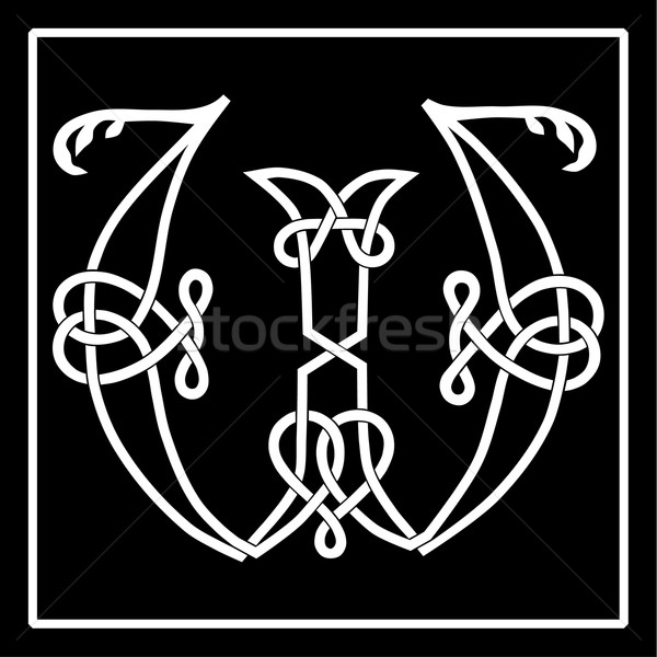 Celtic Knot-work W Stock photo © Theohrm