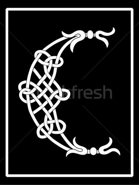 Celtic hoofdletter brieven geval decoratie vector Stockfoto © Theohrm