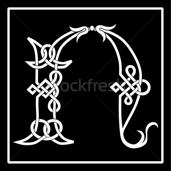 Celtic Knot-Work N Stock photo © Theohrm