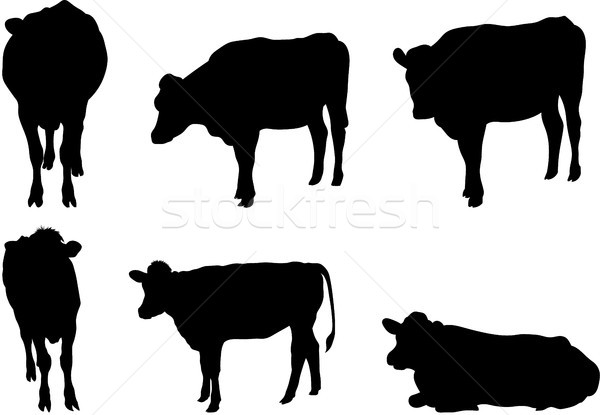 Zes koe silhouetten vector ingesteld groep Stockfoto © Theohrm