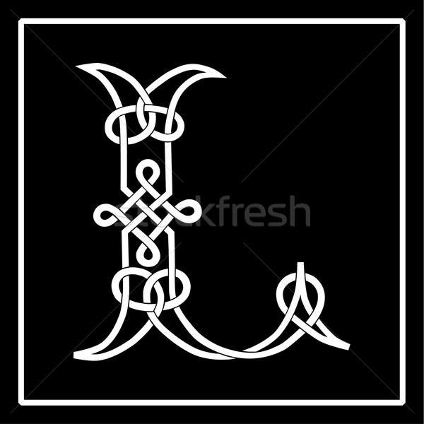Celtic Knot-Work L Stock photo © Theohrm