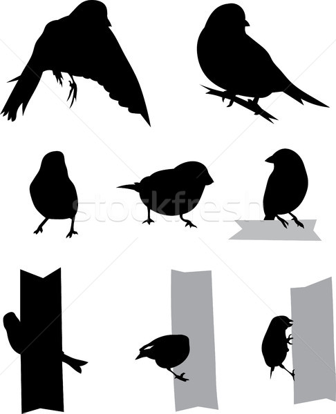 Birds Silhouette Stock photo © Theohrm