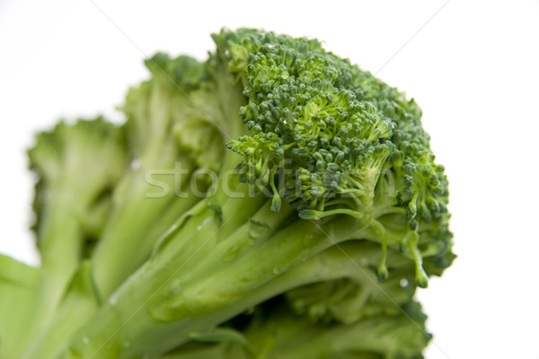 Brocoli alimentaire nature vert salade [[stock_photo]] © TheProphet