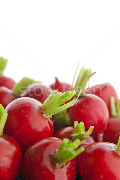 Radis rouge vert blanche isolé salade [[stock_photo]] © TheProphet