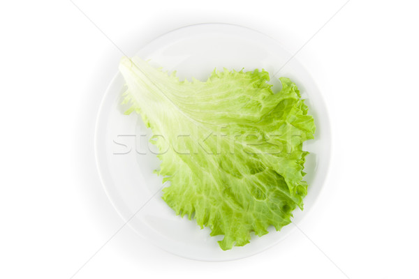 Zielone sałata Sałatka tekstury liści tle Zdjęcia stock © TheProphet
