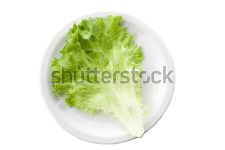 Vert laitue salade texture alimentaire feuille [[stock_photo]] © TheProphet