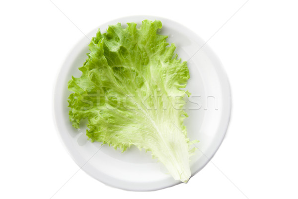 Zielone sałata Sałatka tekstury żywności liści Zdjęcia stock © TheProphet