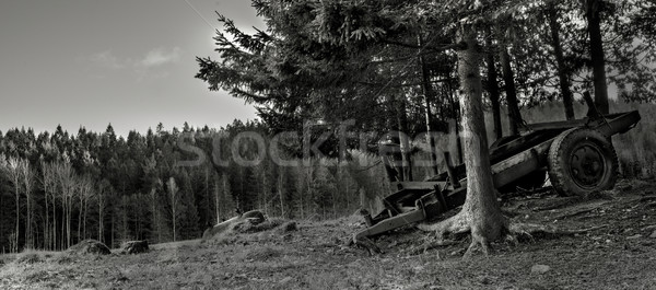 Antique Farm Equipment Stock photo © thisboy