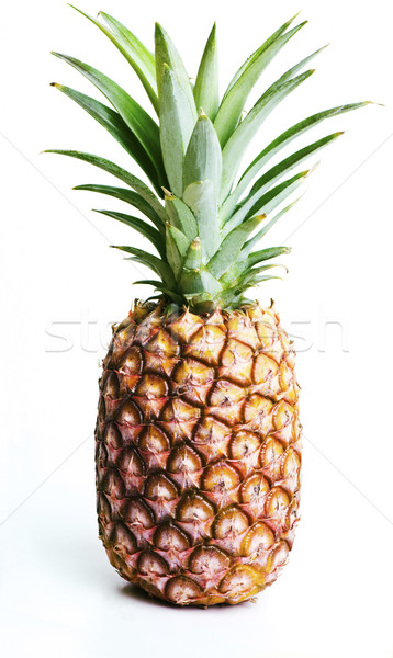 菠蘿 孤立 白 植物 吃 單 商業照片 © thisboy