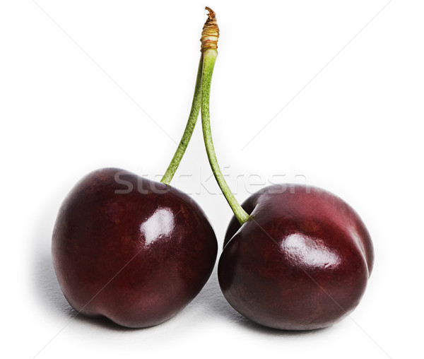 Cerises deux sombre rouge 	
tige isolé [[stock_photo]] © thisboy