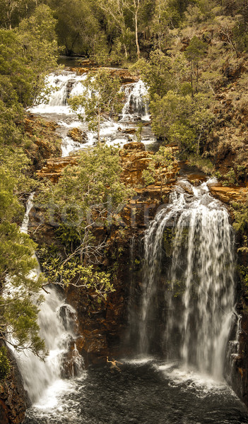 Wodospady objętych w dół rzeki drzewo Zdjęcia stock © thisboy