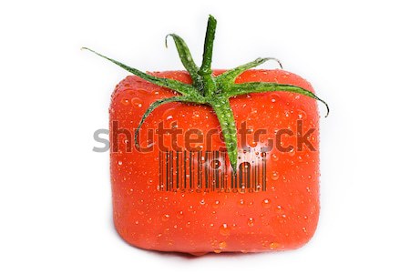 Vierkante tomaat waterdruppels geïsoleerd druppels Stockfoto © thisboy
