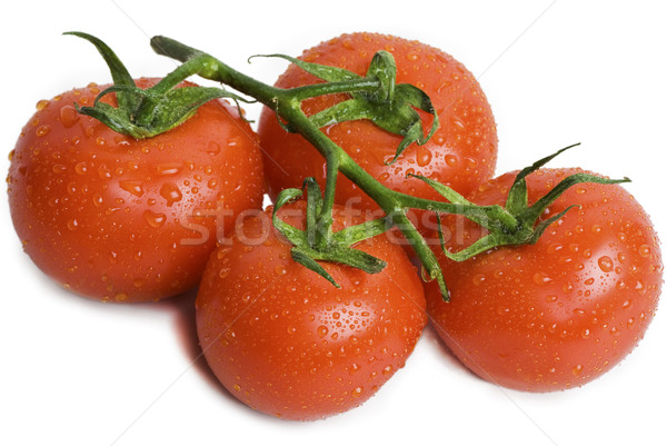 Winorośli pomidory dołączone odizolowany Zdjęcia stock © thisboy