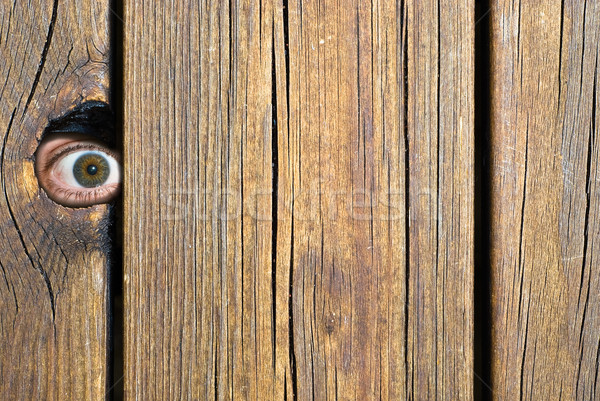 Szem mögött fából készült kerítés bámul háttér Stock fotó © thomland