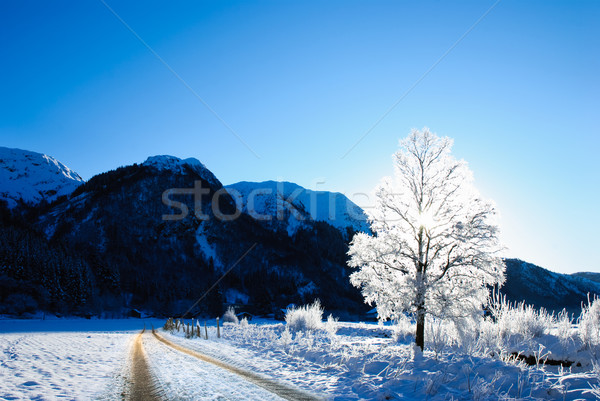 Norweski krajobraz drogowego piękna zimą Norwegia Zdjęcia stock © thomland