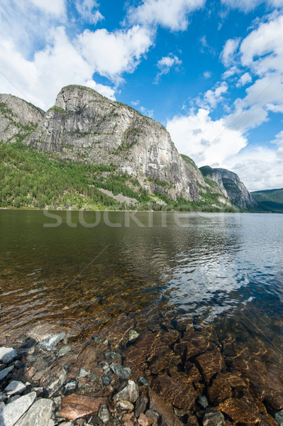 Norweski krajobraz jezioro górskich lata zielone Zdjęcia stock © thomland