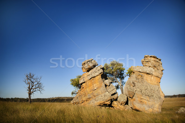 Gewachsen abgesondert zwei Felsen Himmel Bereich Stock foto © THP