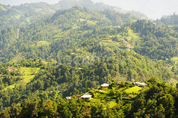 Guatemala peisaj rural sat cer Imagine de stoc © THP