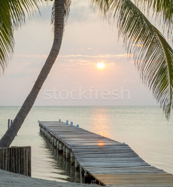 Tropical Sunrise Jetty Stock photo © THP