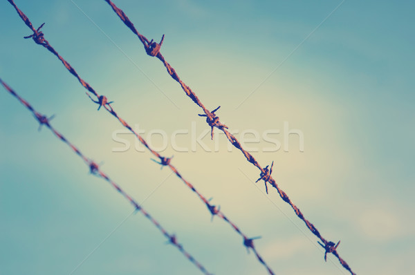 Alambre de púas cerca Rusty edad cielo azul Foto stock © THP