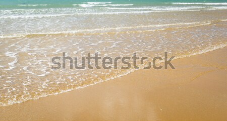 Beach Shoreline Background Stock photo © THP