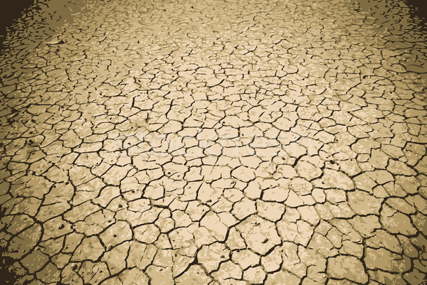 Gebarsten grond aarde abstract natuur woestijn Stockfoto © THP