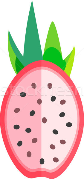 Dragon Fruit Halved Isolated Vector Stock photo © THP