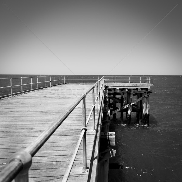 Czarno białe długo na zewnątrz wody Zdjęcia stock © THP