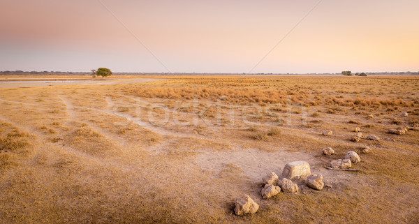 Sunrise african Ebenen Landschaft szenische Botswana Stock foto © THP
