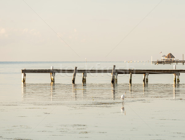 Old Wooden Dock Stock photo © THP