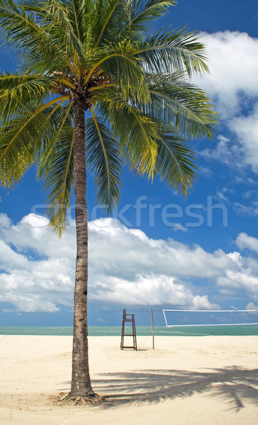 Palmeira praia praia tropical limpar areia voleibol Foto stock © THP