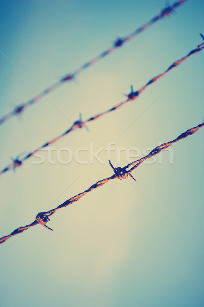 Barbed Wire Close Stock photo © THP