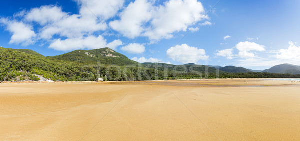 Panoráma öböl tájkép park tengerpart fa Stock fotó © THP