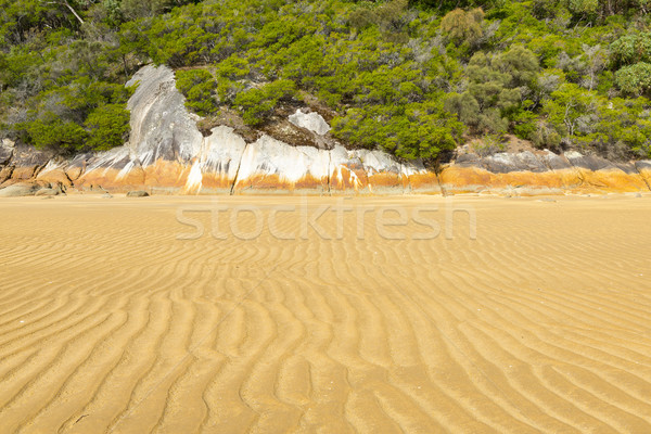 Seashore Landscape Background Stock photo © THP