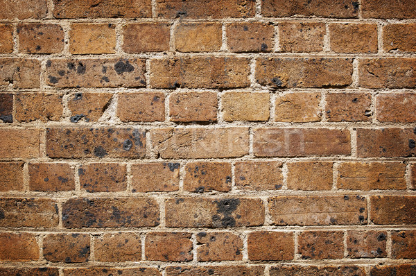 Brick Wall Stock photo © THP