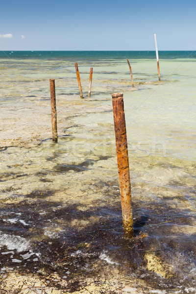 Ocean Poles Stock photo © THP