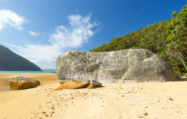 Ganite Boulder On Sealers Cove Stock photo © THP